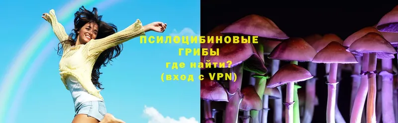 где купить   Вилючинск  Галлюциногенные грибы Magic Shrooms 